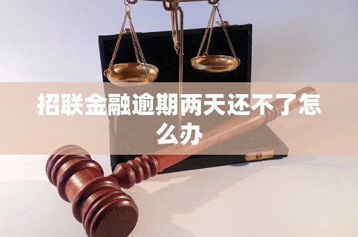 招联金融逾期两天还不了怎么办