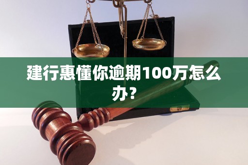 建行惠懂你逾期100万怎么办？