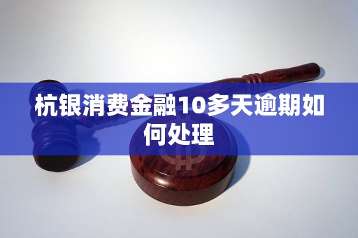 杭银消费金融10多天逾期如何处理