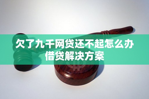 欠了九千网贷还不起怎么办借贷解决方案