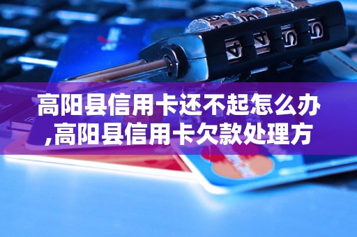 高阳县信用卡还不起怎么办,高阳县信用卡欠款处理方法