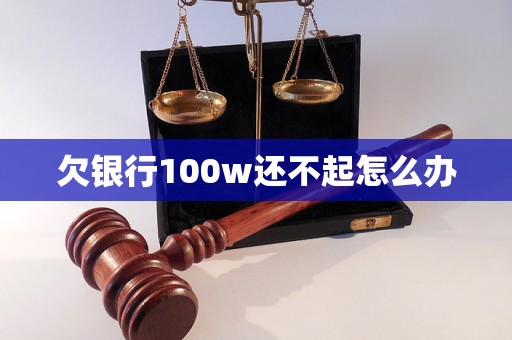 欠银行100w还不起怎么办