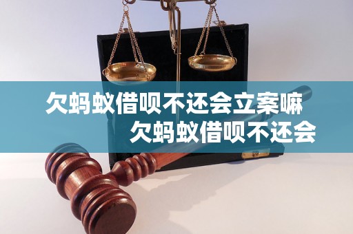 欠蚂蚁借呗不还会立案嘛                欠蚂蚁借呗不还会立案吗