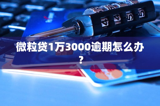 微粒贷1万3000逾期怎么办？