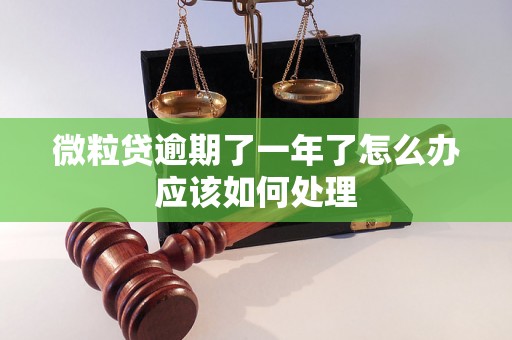 微粒贷逾期了一年了怎么办应该如何处理