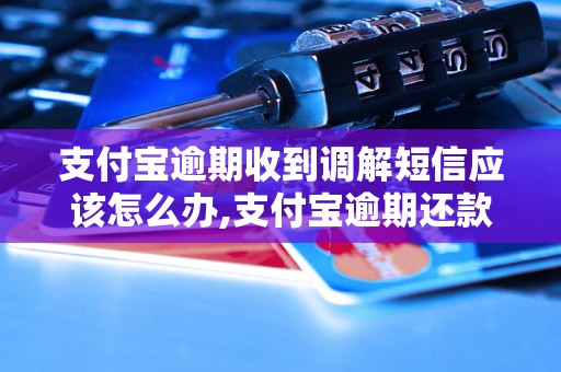 支付宝逾期收到调解短信应该怎么办,支付宝逾期还款如何处理