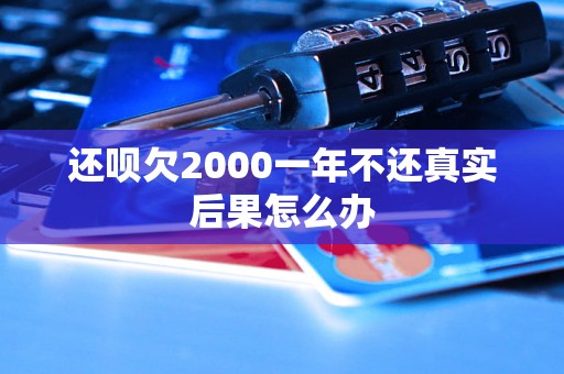 还呗欠2000一年不还真实后果怎么办