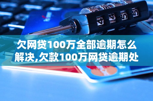 欠网贷100万全部逾期怎么解决,欠款100万网贷逾期处理方法