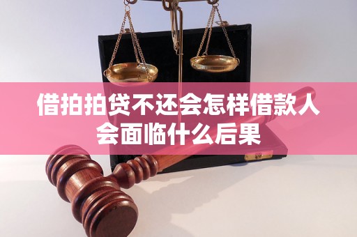 借拍拍贷不还会怎样借款人会面临什么后果