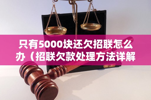 只有5000块还欠招联怎么办（招联欠款处理方法详解）