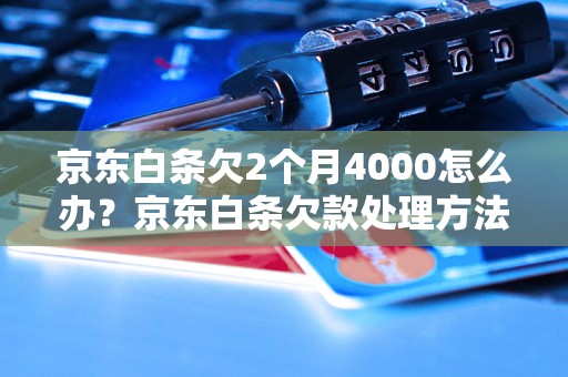 京东白条欠2个月4000怎么办？京东白条欠款处理方法