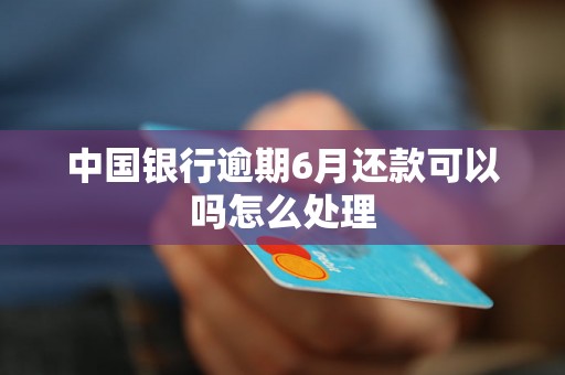 中国银行逾期6月还款可以吗怎么处理