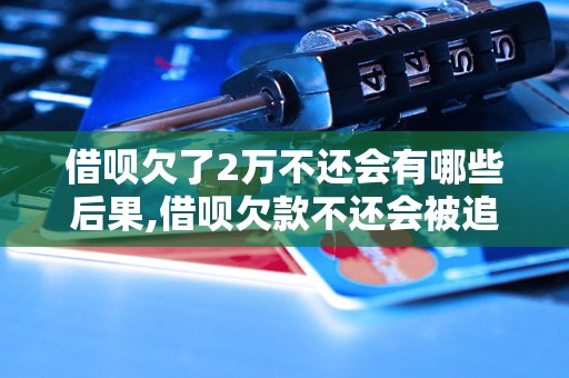 借呗欠了2万不还会有哪些后果,借呗欠款不还会被追究法律责任吗