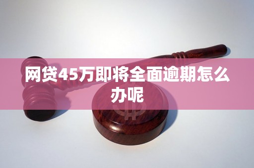 网贷45万即将全面逾期怎么办呢