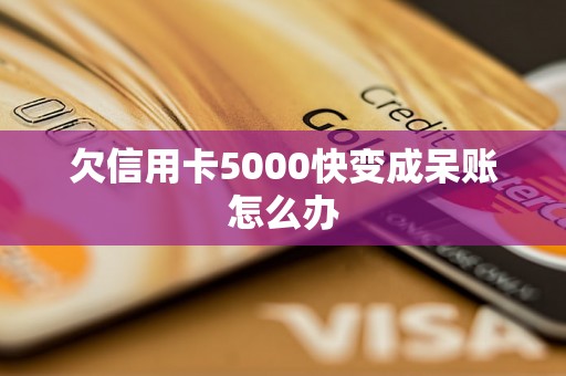 欠信用卡5000快变成呆账怎么办