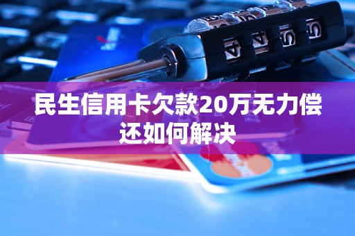 民生信用卡欠款20万无力偿还如何解决