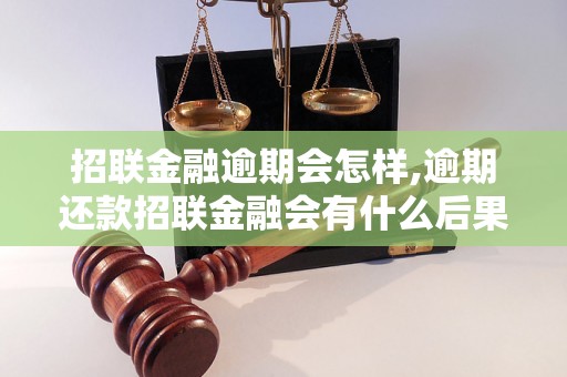 招联金融逾期会怎样,逾期还款招联金融会有什么后果