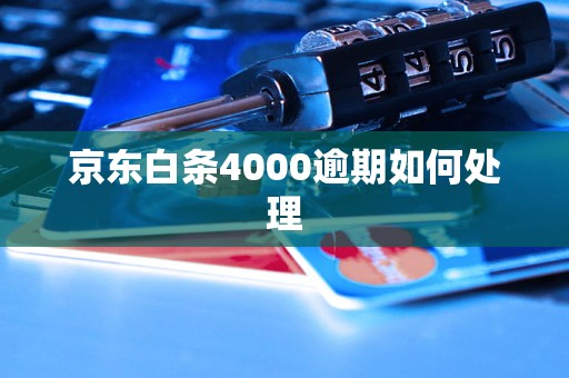 京东白条4000逾期如何处理