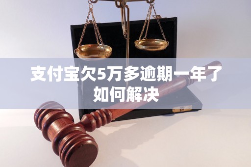 支付宝欠5万多逾期一年了如何解决