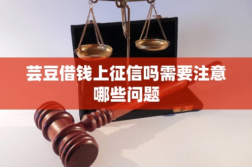 芸豆借钱上征信吗需要注意哪些问题