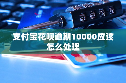 支付宝花呗逾期10000应该怎么处理