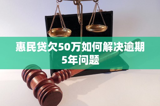 惠民贷欠50万如何解决逾期5年问题