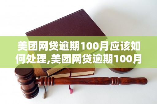 美团网贷逾期100月应该如何处理,美团网贷逾期100月后果严重吗