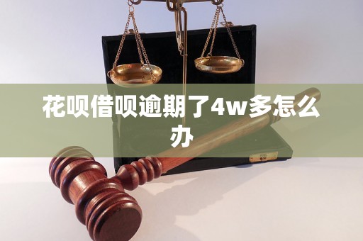 花呗借呗逾期了4w多怎么办