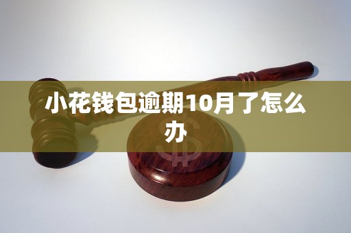 小花钱包逾期10月了怎么办