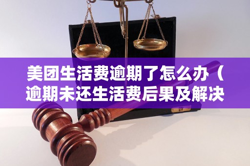 美团生活费逾期了怎么办（逾期未还生活费后果及解决方法）