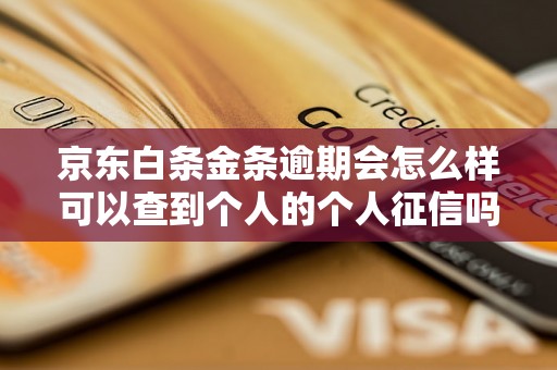 京东白条金条逾期会怎么样可以查到个人的个人征信吗