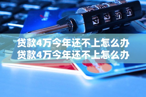 贷款4万今年还不上怎么办贷款4万今年还不上怎么办