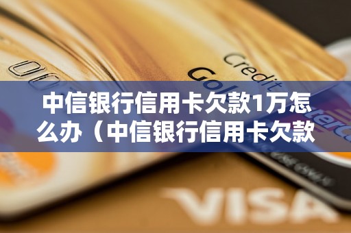 中信银行信用卡欠款1万怎么办（中信银行信用卡欠款处理方法）