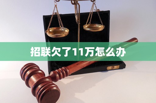 招联欠了11万怎么办