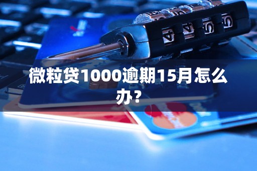 微粒贷1000逾期15月怎么办？