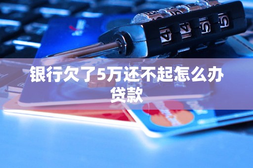 银行欠了5万还不起怎么办贷款