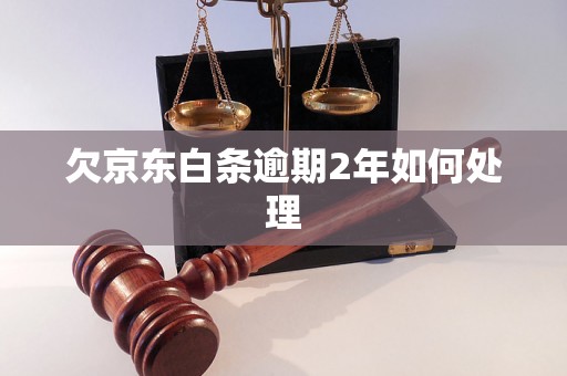 欠京东白条逾期2年如何处理