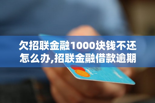 欠招联金融1000块钱不还怎么办,招联金融借款逾期处理措施