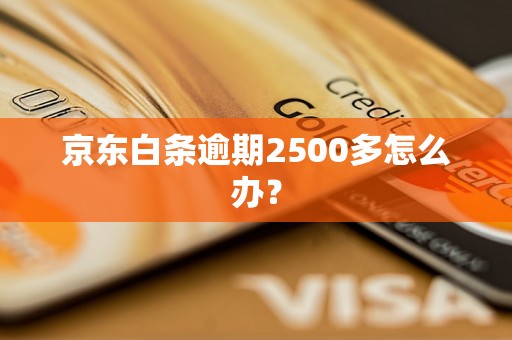 京东白条逾期2500多怎么办？