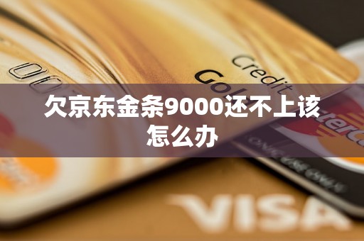 欠京东金条9000还不上该怎么办