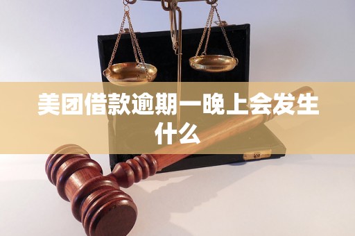 美团借款逾期一晚上会发生什么