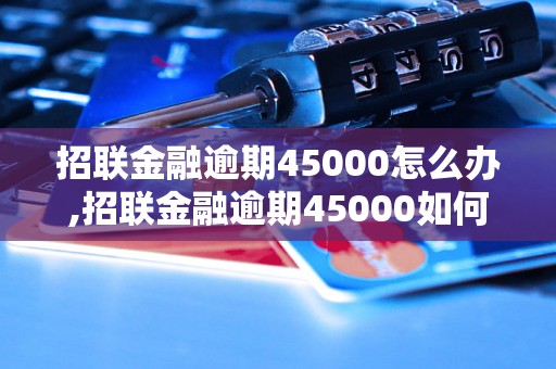 招联金融逾期45000怎么办,招联金融逾期45000如何解决