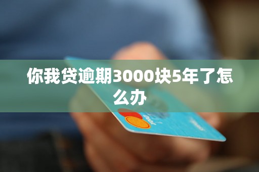 你我贷逾期3000块5年了怎么办