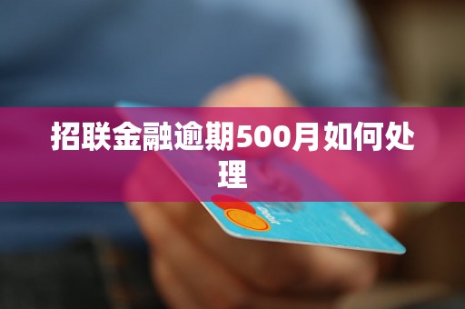 招联金融逾期500月如何处理