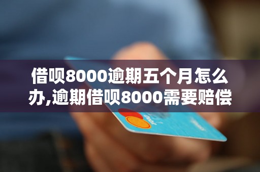 借呗8000逾期五个月怎么办,逾期借呗8000需要赔偿多少钱