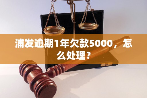 浦发逾期1年欠款5000，怎么处理？