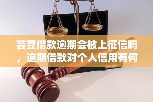 芸豆借款逾期会被上征信吗，逾期借款对个人信用有何影响