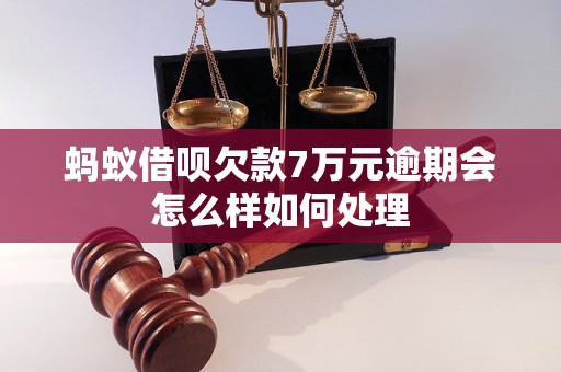 蚂蚁借呗欠款7万元逾期会怎么样如何处理