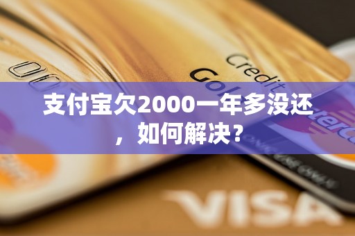 支付宝欠2000一年多没还，如何解决？