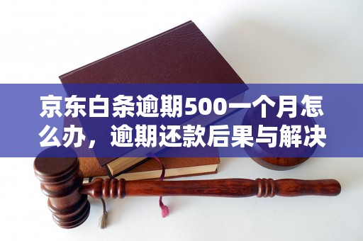 京东白条逾期500一个月怎么办，逾期还款后果与解决方法